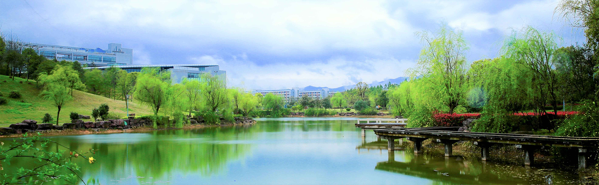 zhejiang normal university